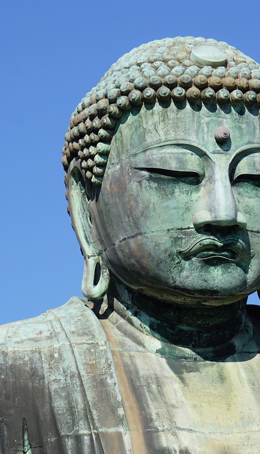 buddha, big buddha, japan, close up, asia, travel, culture, mental, meditation, buddhism