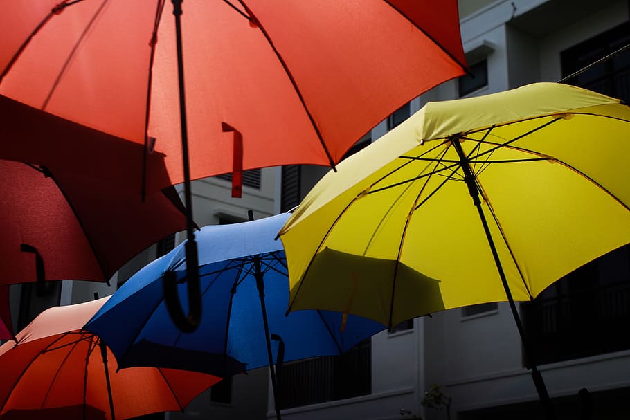 paraguas de colores, varios, lluvia, protección, paraguas, seguridad, nadie, rojo, multicolor, al aire libre
