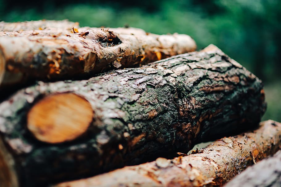 troncos de madera de pared, madera, troncos, otoño, enfoque selectivo, madera - material, árbol, primer plano, texturado, nadie