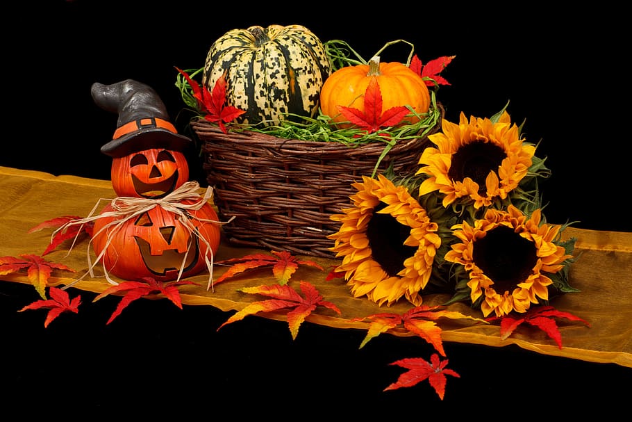 sunflowers, halloween, pumpkin, fruit, vegetable, autumn, ornaments, basket, food and drink, black background