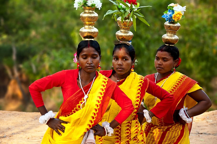 tribal, dance, celebration, dancing, costume, culture, tribe, native, dancer, indian