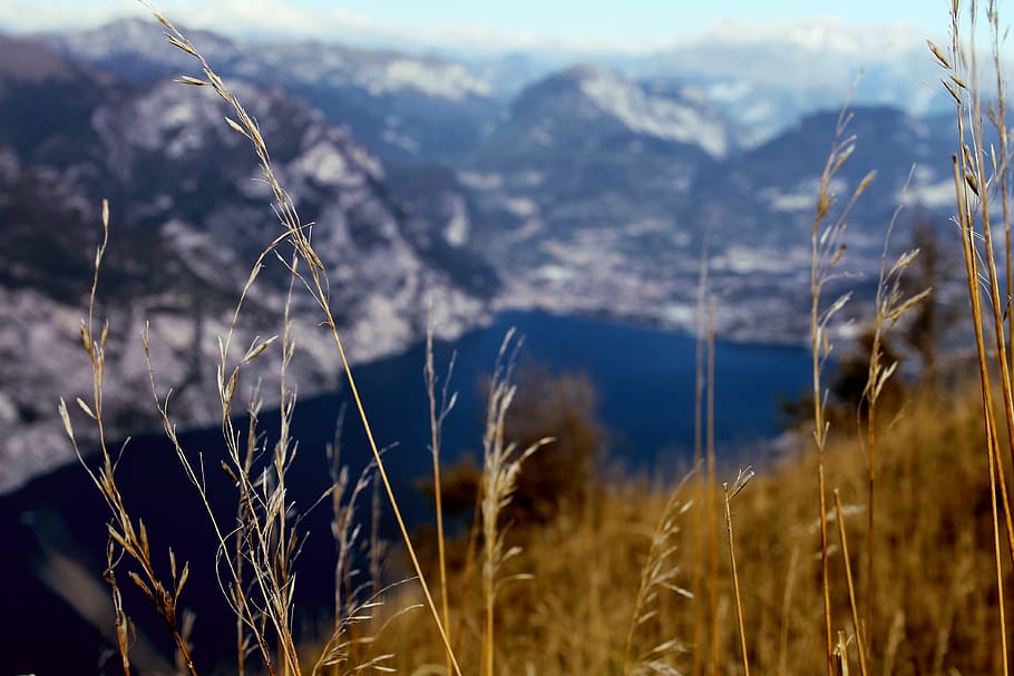 italy, monte baldo, garda, focus, from above, north, snow, sun, grasses, wasse