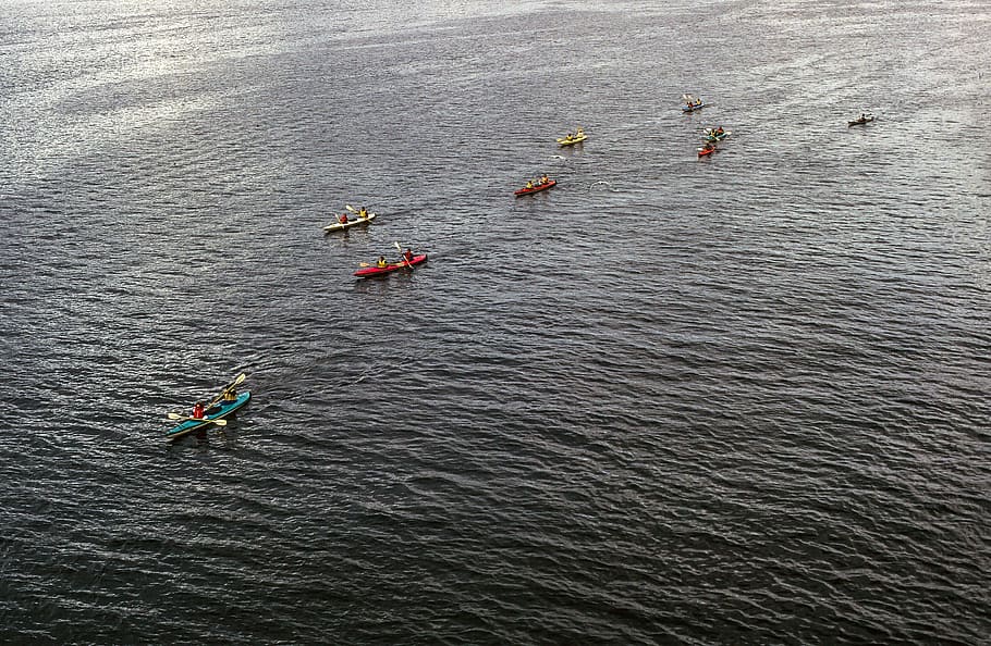 aerial, view, team, kayakers, sea, adventure, canoe, ocean, sport, travelling