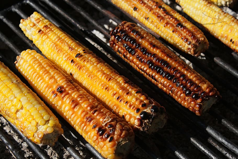 bbq corn, food and Drink, barbecue, barbeque, bBQ, cooking, grill, grilling, food, corn