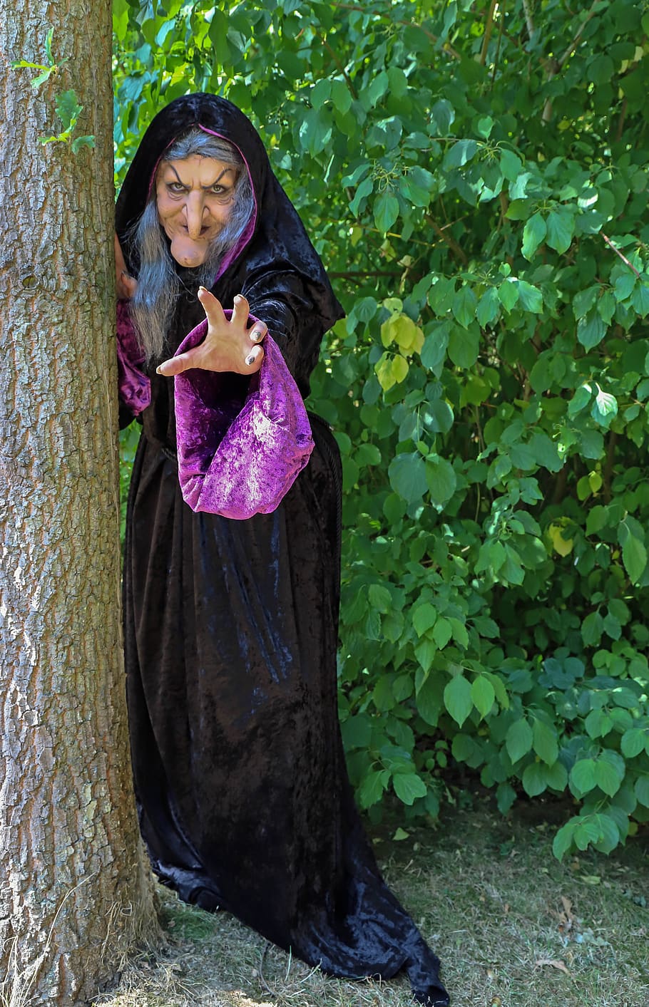 witch, fairy tale, costume, fantasy, role-play, plant, real people, one person, tree, women