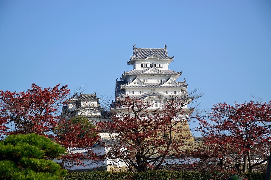 himeji, castle, japan, heritage, tourism, asia, tree, plant, sky, architecture