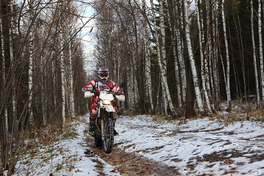motociclista, bicicleta, bosque, invierno, nieve, árboles, rápido, Árbol, sombreros, casco