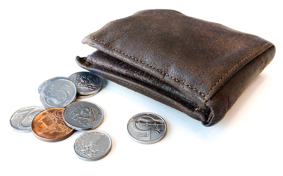 wallet, coins, czech, cash, currency, coin, money, finance, financial, business