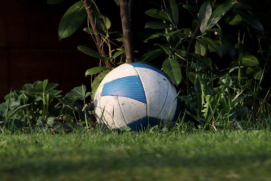 ball, football, play, grass, football pitch, kick, audience, landscape, outside, exercise