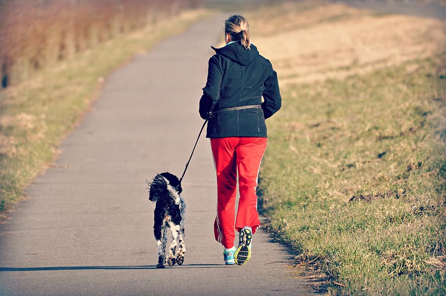 woman, person, jogging, dog, exercise, fitness, health, country road, embankment, grass