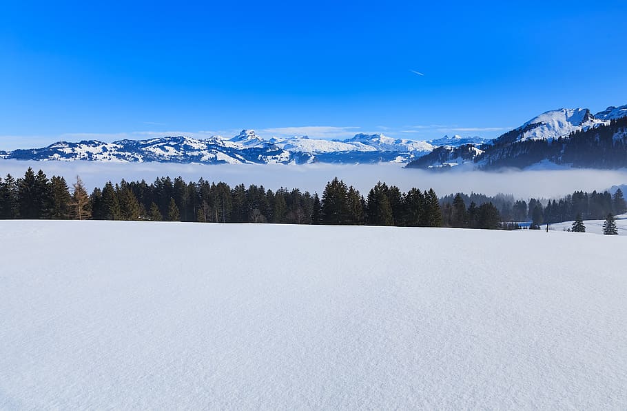 Suíça, Alpes, Alpes suíços, natureza, paisagem, inverno, vista, Stoos, Schwyz, abeto