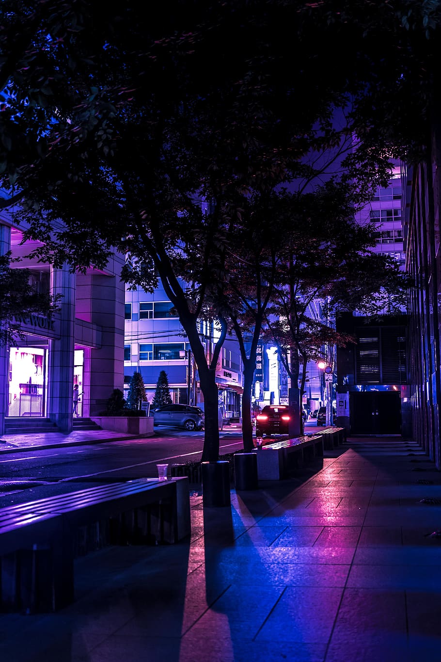 night view, purple, alley, night, street, city, tree, architecture, illuminated, plant