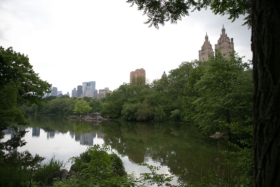 pond, located, south, east, corner, central, park, new, york, apartments