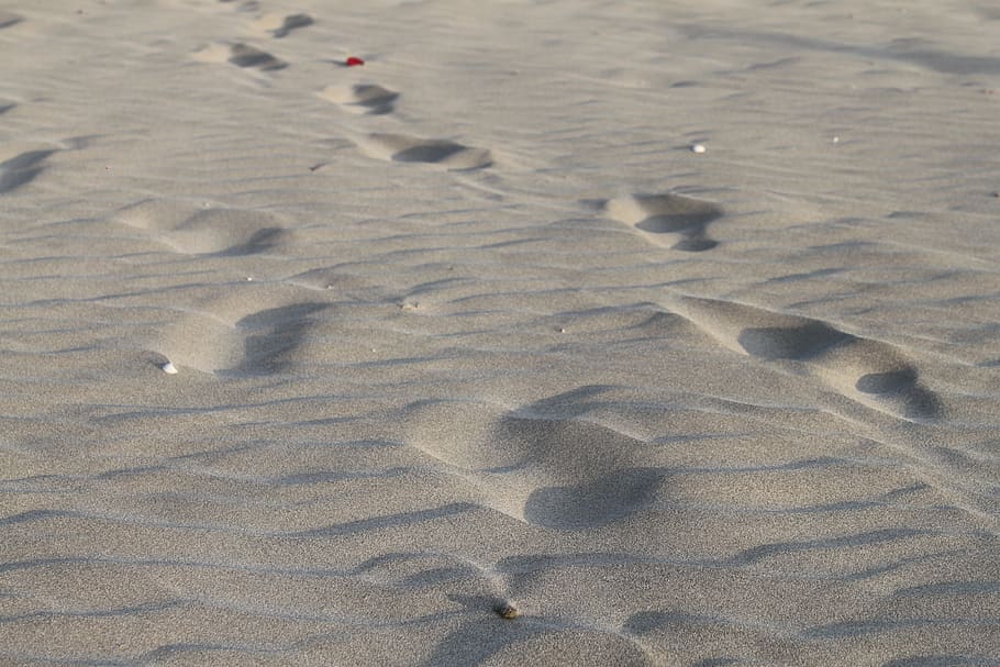 pasir, jejak kaki, berjalan, pantai, laut, liburan, langkah, jejak, alam, petualangan