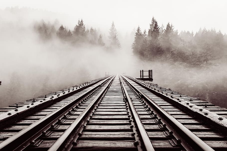 railroad, bridge, old, trestle, haze, forest, moody, black and white, vancouver island, bc