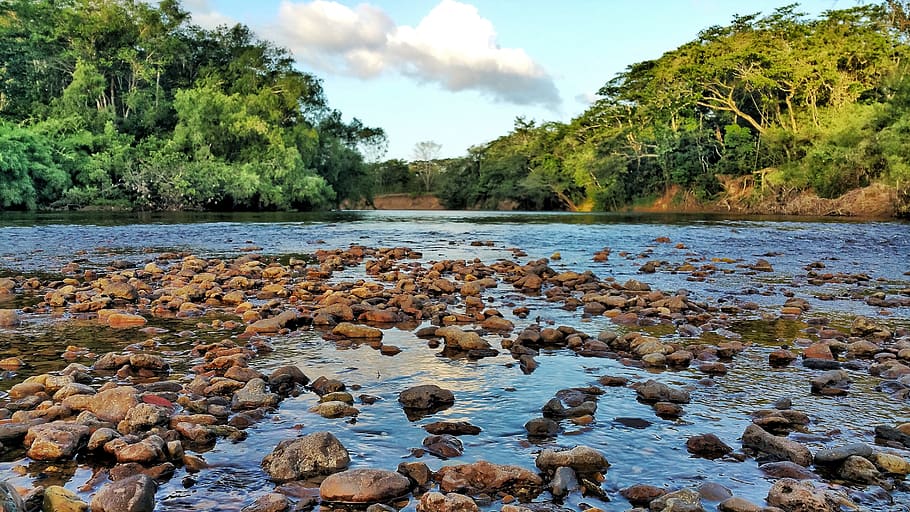 river, rocks, water, belize, jungle, tropical, blue, flow, nature, stone