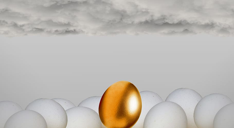 telur emas, emas, telur, berbeda, hewan, latar belakang, bisnis, kesempatan, closeup, konsep