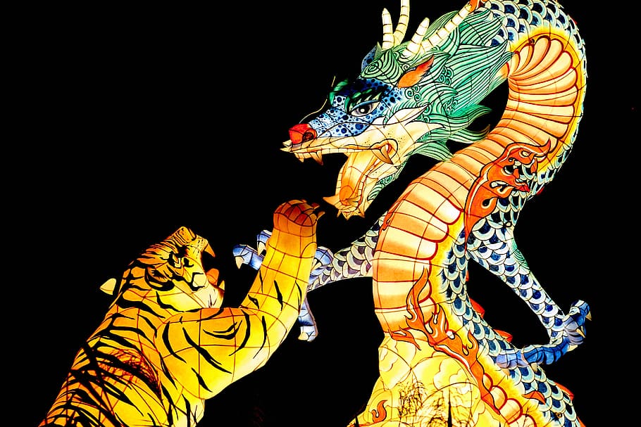 tigre, dragón, verano, linterna, festival, luz, resplandor, corea, corea del sur, asia