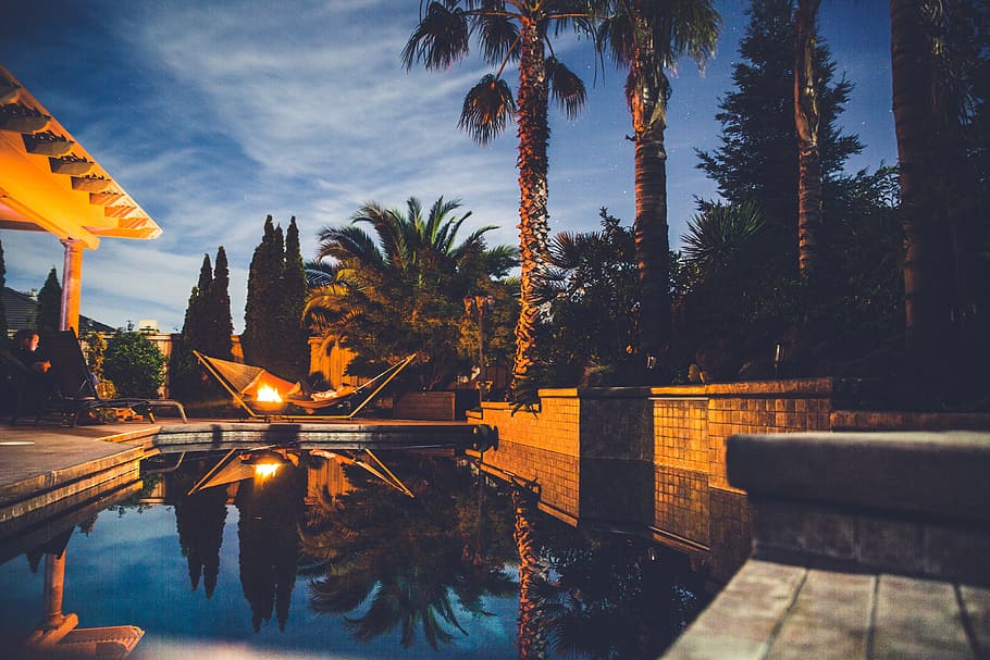 swimming pool house, various, evening, expensive, home, house, luxury, palm Tree, pool, summer