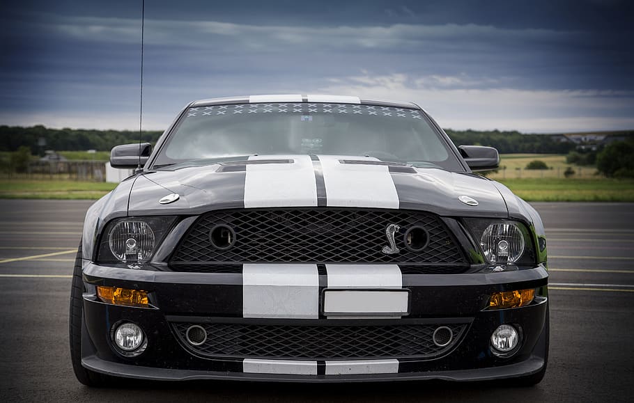 shelby, muscle car, car, mustang, vehicle, ford mustang, mode of transportation, transportation, motor vehicle, sky