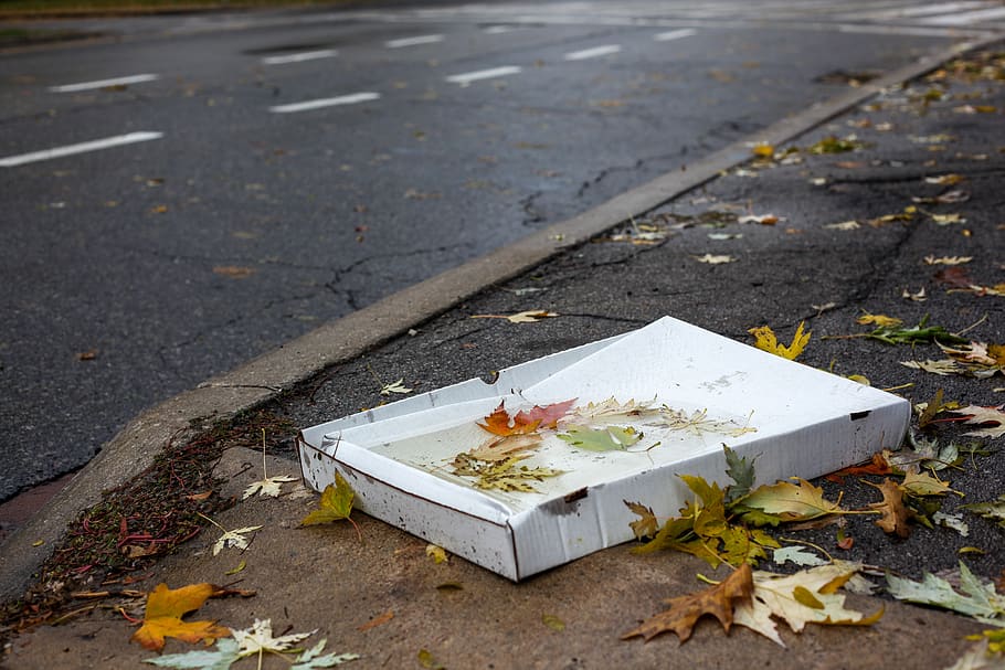 caixa de pizza, tempo, lixo, papel, caixa de papel, outono, estrada, jogado fora, resíduos de papel, lixeira