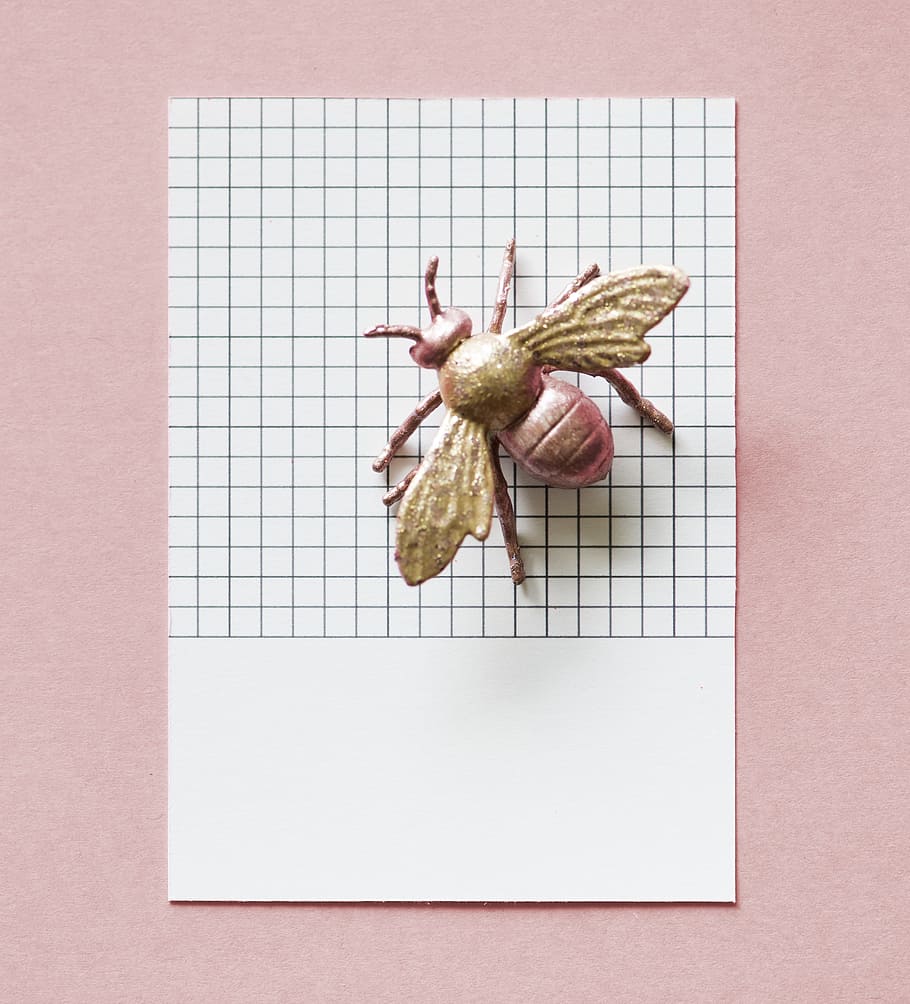 paper, abstract, bug, card, colorful, concept, creative, decoration, figure, fly