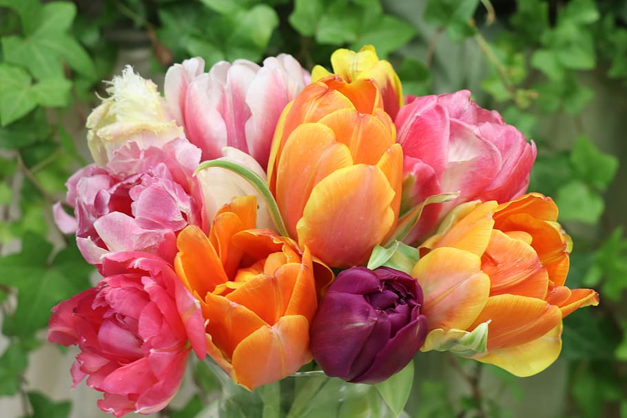 tulips, bouquet, flowers, spring, flower, bloom, flora, garden, colorful, vase
