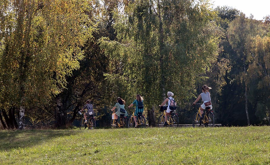 ciclo, ciclismo, saludable, deporte, ocio, unidad, locomoción, naturaleza, recorrido en bicicleta, recorrido