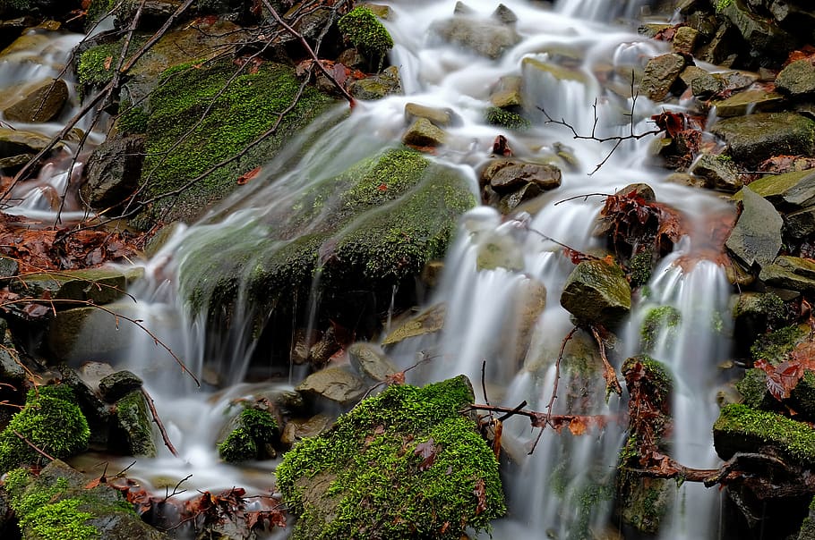 monolithic part of the waters, waterfall, nature, leaf, autumn, rock, cascade, at the court of, river, mosses