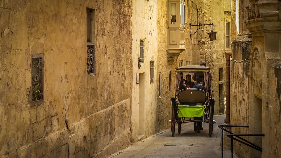 horse drawn carriage, transport, team, historically, antique, mdina, malta, game of thrones, location, neon green