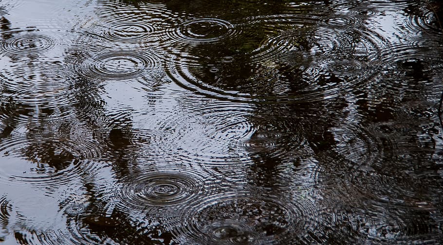 water, ripples, circles, drops, wet, surface, waves, interference patterns, rippled, concentric