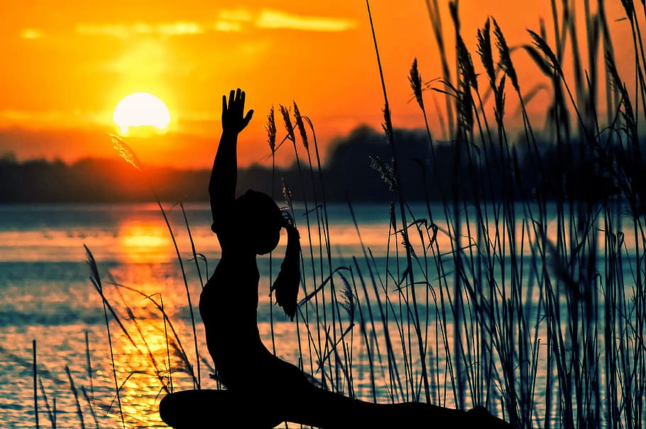 lake, reed, sunset, landscape, mirroring, bank, water, rest, yoga, peaceful