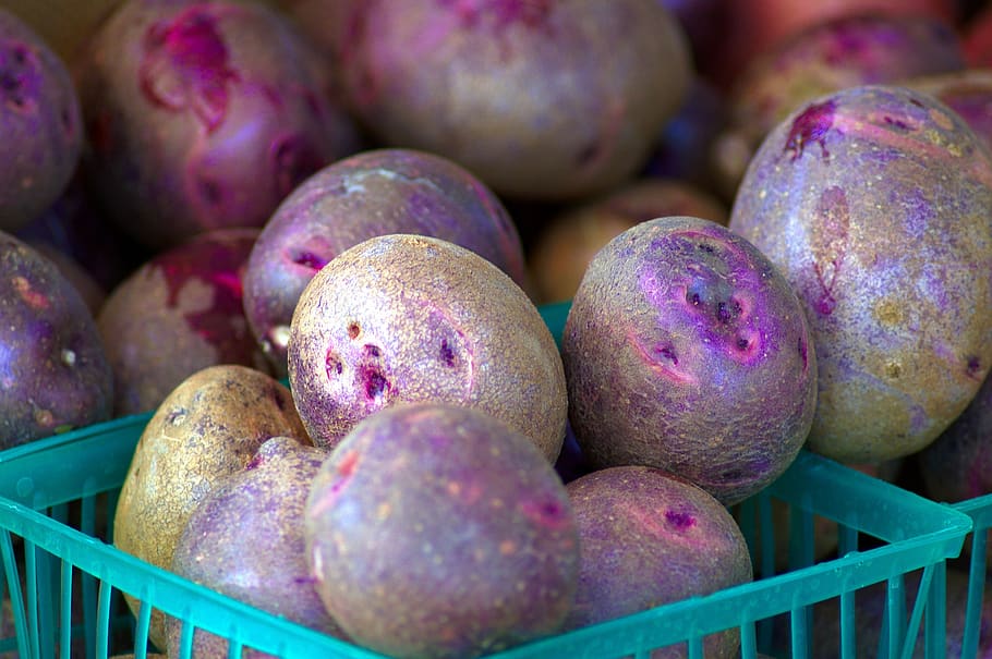 kentang ungu di pasar, kentang, pasar, jackson, petani wyoming, sayuran, makanan, nutrisi, sehat, pertanian