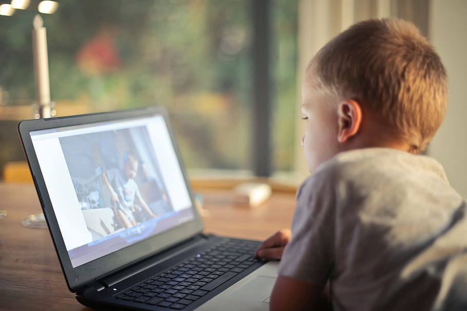 young, caucasian child, watching, movie, laptop, living, room, alone, child, little