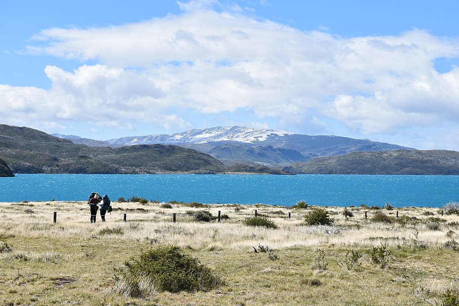 patagonia, torres del paine, national park, lake, mountain, landscape, chile, nature, mountain panorama, south america