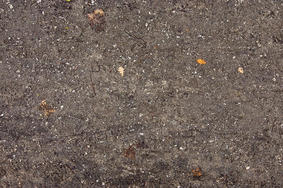 dirt, ground, brown, leaves, mud, dirty, structure, earth, pattern, autumn
