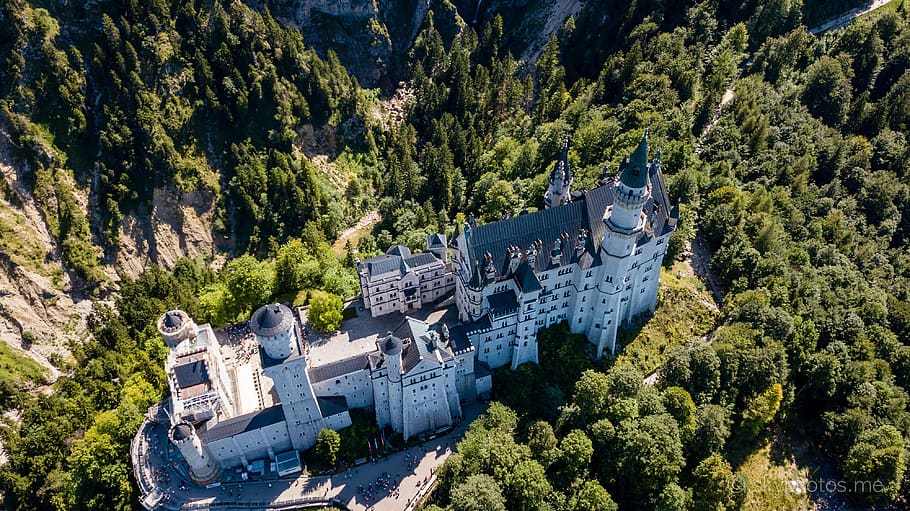 neuschwanstein, castelo, zangão, árvore, planta, estrutura construída, arquitetura, exterior do edifício, vista de alto ângulo, montanha