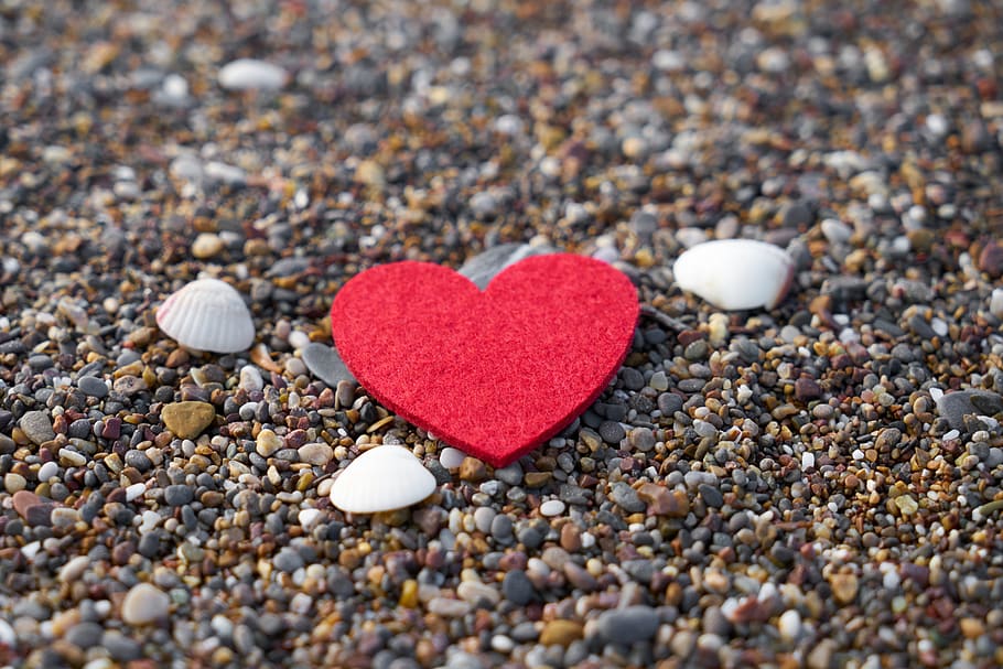 valentine's day, celebration, heart, red, love, romance, romantic, design, passion, symbol
