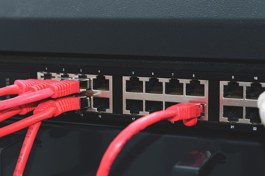 red de servidores, tecnología, datos, servidor, rojo, conexión, internet, cable, enchufe de conexión de red, primer plano
