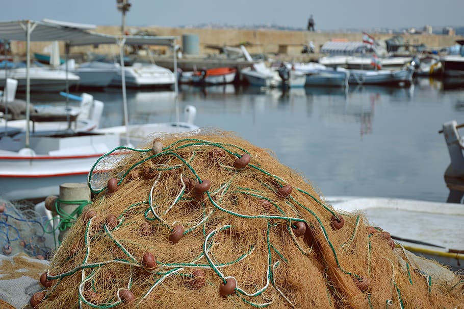 fishing net, web, fishing, port, water, nautical vessel, rope, transportation, harbor, moored