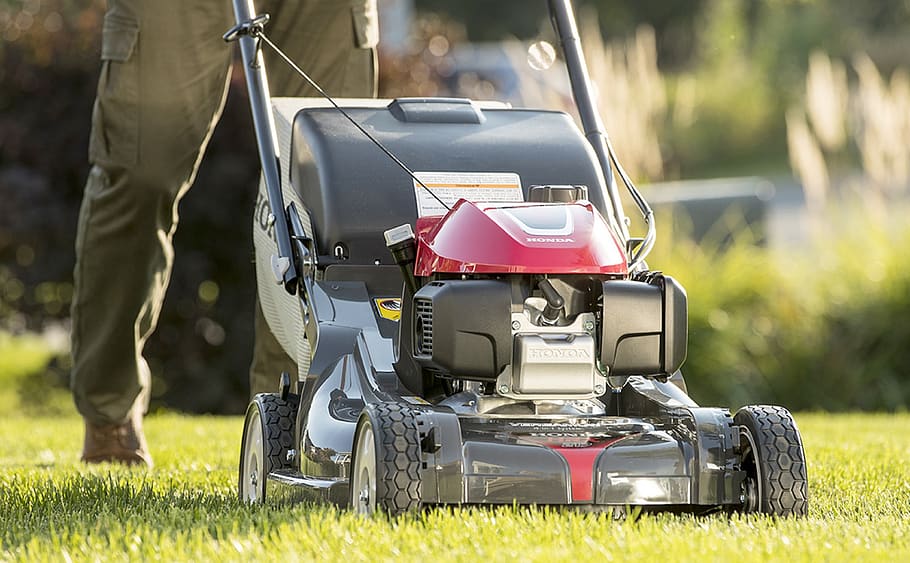 honda, lawn, mower, repair, grass, plant, one person, low section, transportation, outdoors