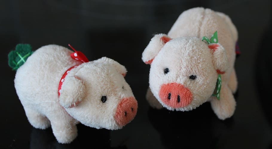 pig, little, stuffed, object, fig, figure, soft, toy, stuffed toy, representation