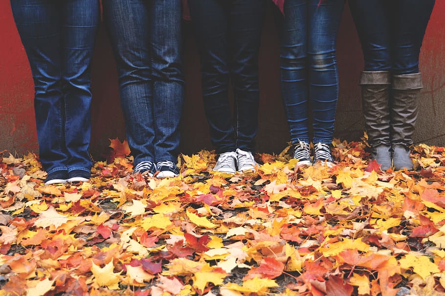 legs, shoes, jeans, boots, outdoor, leaves, autumn, wall, leaf, change