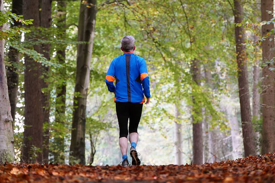 forest, nature, sport, jogger, trees, leaves, senior, health, jogging, run