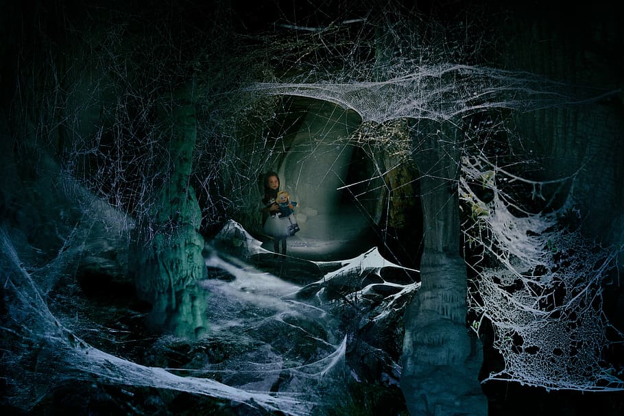 gua, gelap, gadis kecil, ketakutan, sarang laba-laba, rongga, pohon, hutan, satu orang, tanaman