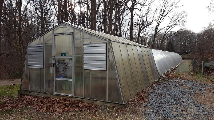 greenhouse, deep, cut, garden grounds, new, jersey., hothouse, glass, warmth, tropical