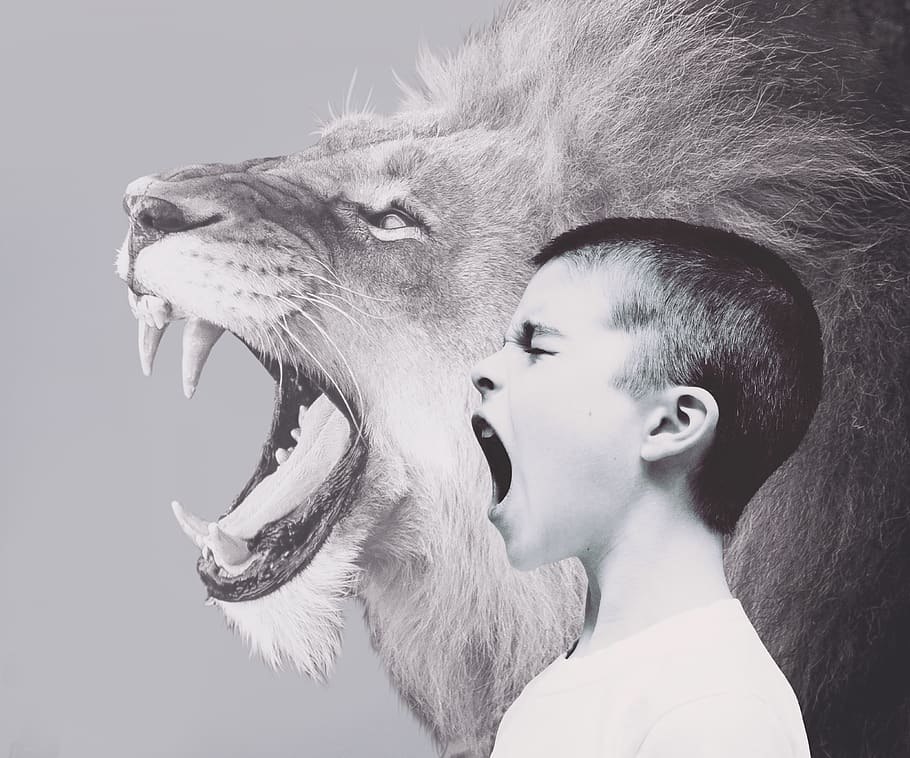 criança, menino, leão, predador, rugido, grito, amizade, juntos, amigos, disputa