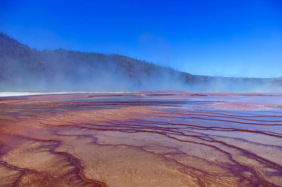 bacterial mats of grand prismatic, pool, springs, grand, prismatic, yellowstone, national, park, wyoming, geothermal