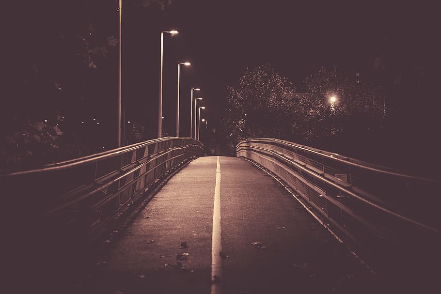 jembatan, cahaya, malam, gelap, garis kuning, pagar, pohon, jalan maju, transportasi, arah