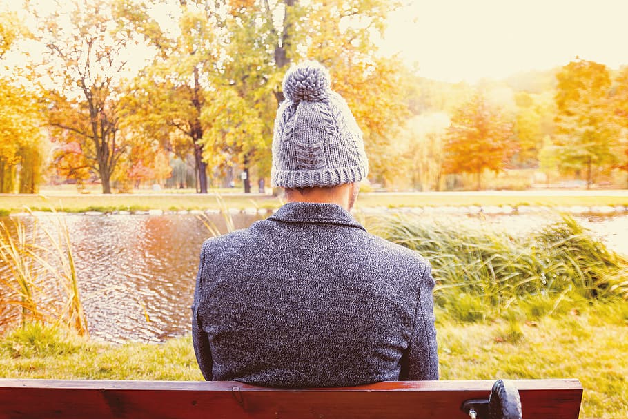 joven, hombre, sentado, banco, parque, otoño, vista trasera, árbol, planta, una persona
